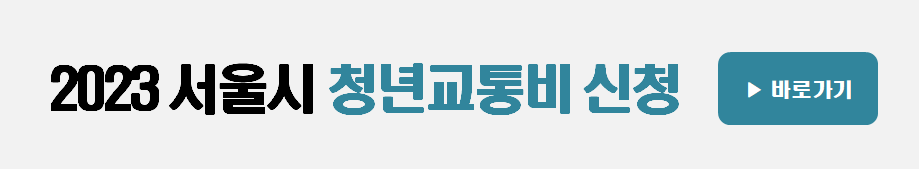 서울시 청년 대중교통비 지원 신청