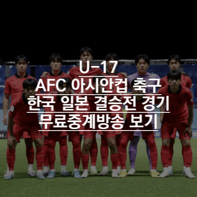 아시안컵 결승 한국 일본 축구 무료중계방송
