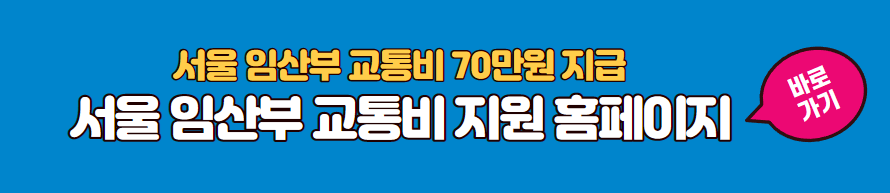 서울시 임산부 교통비 지원 신청 홈페이지