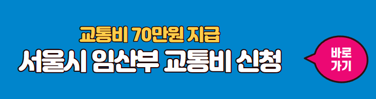 서울시-임산부-교통비-지원-바로신청