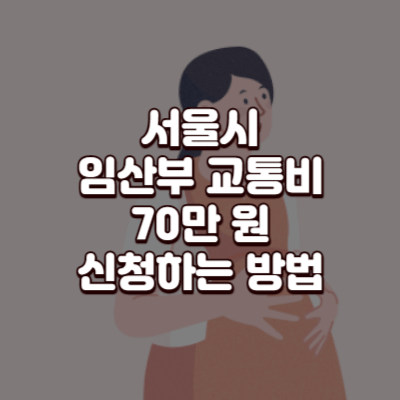 서울시 임산부 교통비 지원 신청 70만원