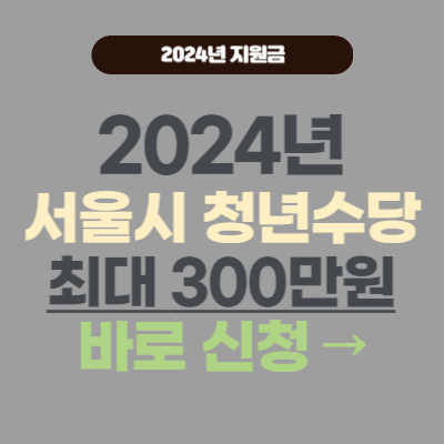 2024년 서울시 청년수당 신청 바로가기